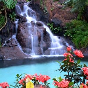 Meet your Posher, Katrina